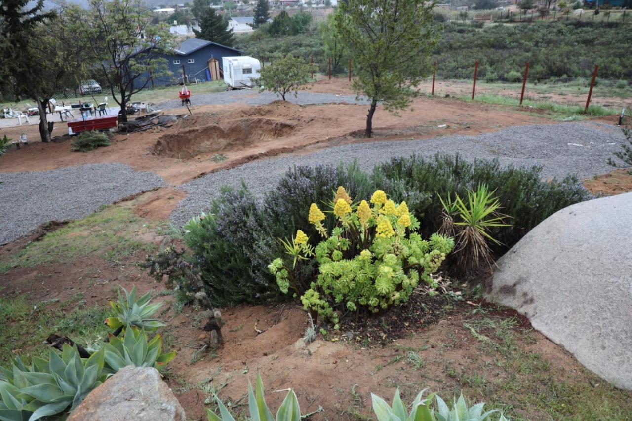 Ecovino Campo de lujo